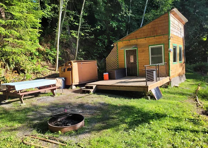 Moss Haven On Hood Canal